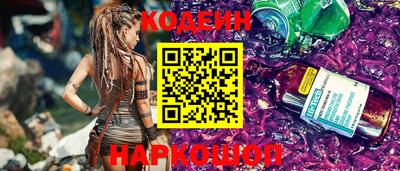 индика Можга