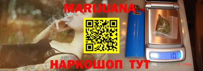 индика Можга