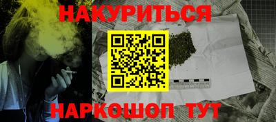 индика Можга