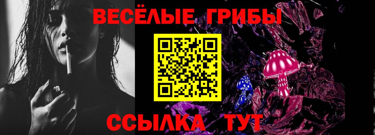 Уссурийск  Галлюциногенные грибы ЛСД  Вход с VPN 